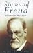 Sigmund Freud by Stephen   Wilson