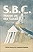 S.B.C. House on the Sand by David O. Beale