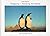 Penguins - Traveling the World by Willy Puchner Penguins - Traveling the World by Willy Puchner
