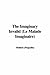 The Imaginary Invalid