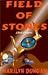 Field of Stones by Marilyn Dungan