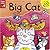 Big Cat (All Change Board Books)