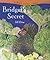 Bridget's Secret by Jill Dow