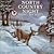 North Country Night