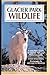 Glacier Park Wildlife by Todd Wilkinson