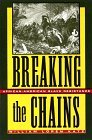 Breaking The Chains (Paperback)