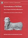 Excavations at Tell Brak: Volume 2 - Nagar in the 3rd Millennium BC (McDonald Institute Monographs)