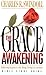 Grace Awakening: Bible Study Guide