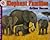 Elephant Families (Let's-Re...