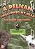 A Pelican Swallowed My Head by Edward R. Ricciuti