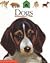 Dogs by Pascale de Bourgoing