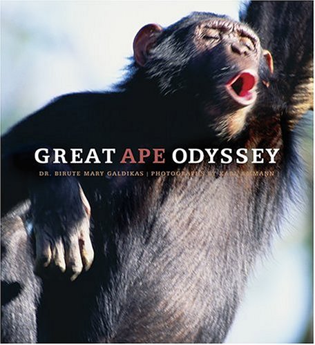 Great Ape Odyssey (Hardcover)