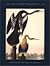 John James Audubon & Robert Havell, Jr.: Artist's Proofs for The Birds of America
