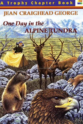 One Day in the Alpine Tundra (Paperback)