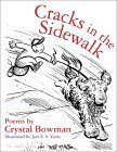 Cracks in the Sidewalk (Hardcover)