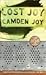 Lost Joy