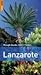 The Rough Guides' Lanzarote...