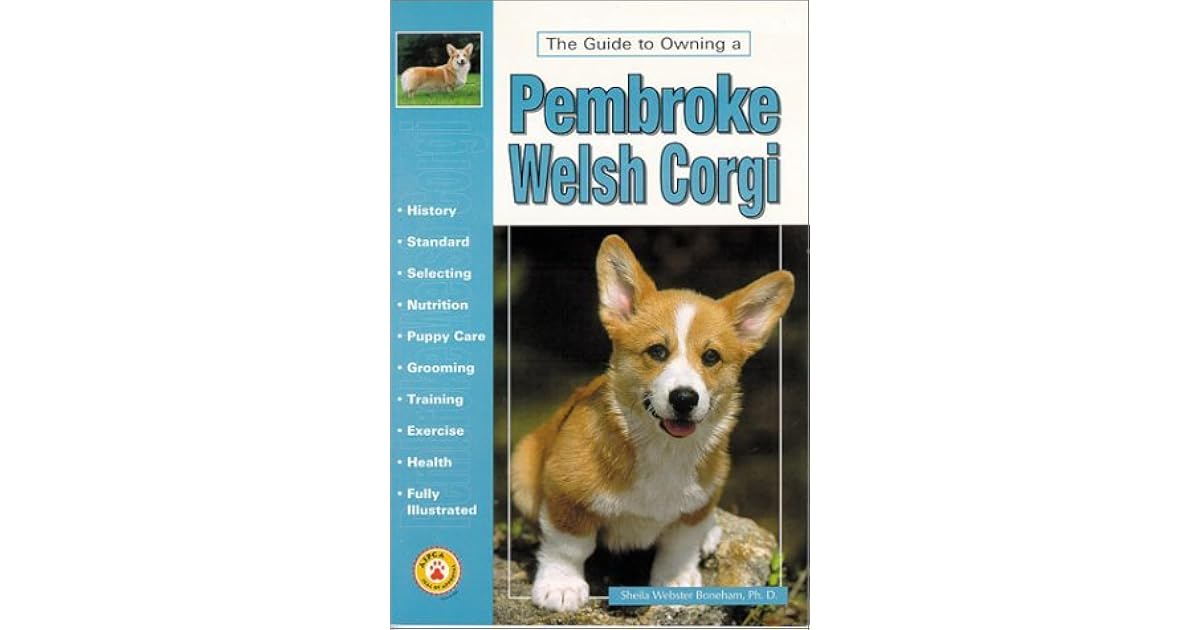 owning a corgi