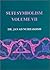 Sufi Symbolism: The Nurbakh...