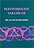 Sufi Symbolism: The Nurbakhsh Encyclopedia of Sufi Terminology, Vol. VII: Contemplative Disciplines, Visions and Theophanies, Family Relationships, ... Names of Sufi Orders (Farhang-E Nurbakhsh)