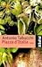 Piazza d'Italia by Antonio Tabucchi Piazza d'Italia by Antonio Tabucchi