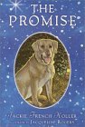 The Promise (Paperback)