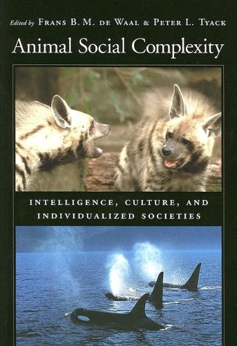 Animal Social Complexity: Intelligence, Culture, and Individualized Societies (Paperback)