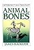 Animal Bones (Interpreting the Past)