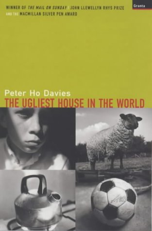 The Ugliest House in the World (Paperback)