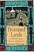 Promised Lands: A Novel of the Texas Rebellion (Southwest Life and Letters)