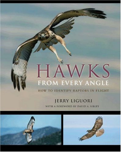 Hawks from Every Angle: How to Identify Raptors In Flight (Hardcover)