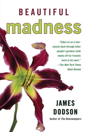 Beautiful Madness (Paperback)