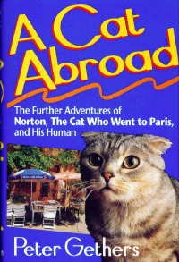 A Cat Abroad (Hardcover)