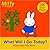 What Will I Do Today?: Miffy's Big Flap Book