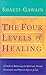 The Four Levels of Healing by Shakti Gawain