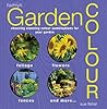 Garden Color: Choosing Stunning Color Combinations for Your Garden