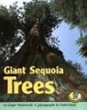 Giant Sequoia Trees (Early Bird Nature Books)
