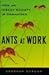 Ants At Work by Deborah M. Gordon