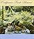 California Fresh Harvest by The Junior League of Oaklan...