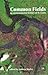 Common Fields: An Environme...