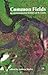 Common Fields: An Environmental History of St. Louis (Volume 1)