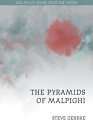 The Pyramids of Malpighi
