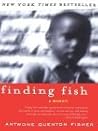 Finding Fish