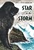 Star in the Storm