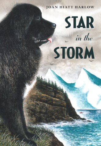 Star in the Storm (Paperback)