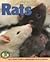 Rats (Early Bird Nature Books)