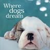 Where Dogs Dream