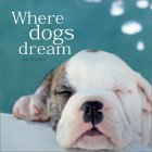 Where Dogs Dream (Hardcover)