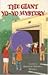 The Giant Yo-Yo Mystery (The Boxcar Children, #107)