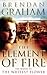 The Element Of Fire (Ellen ...